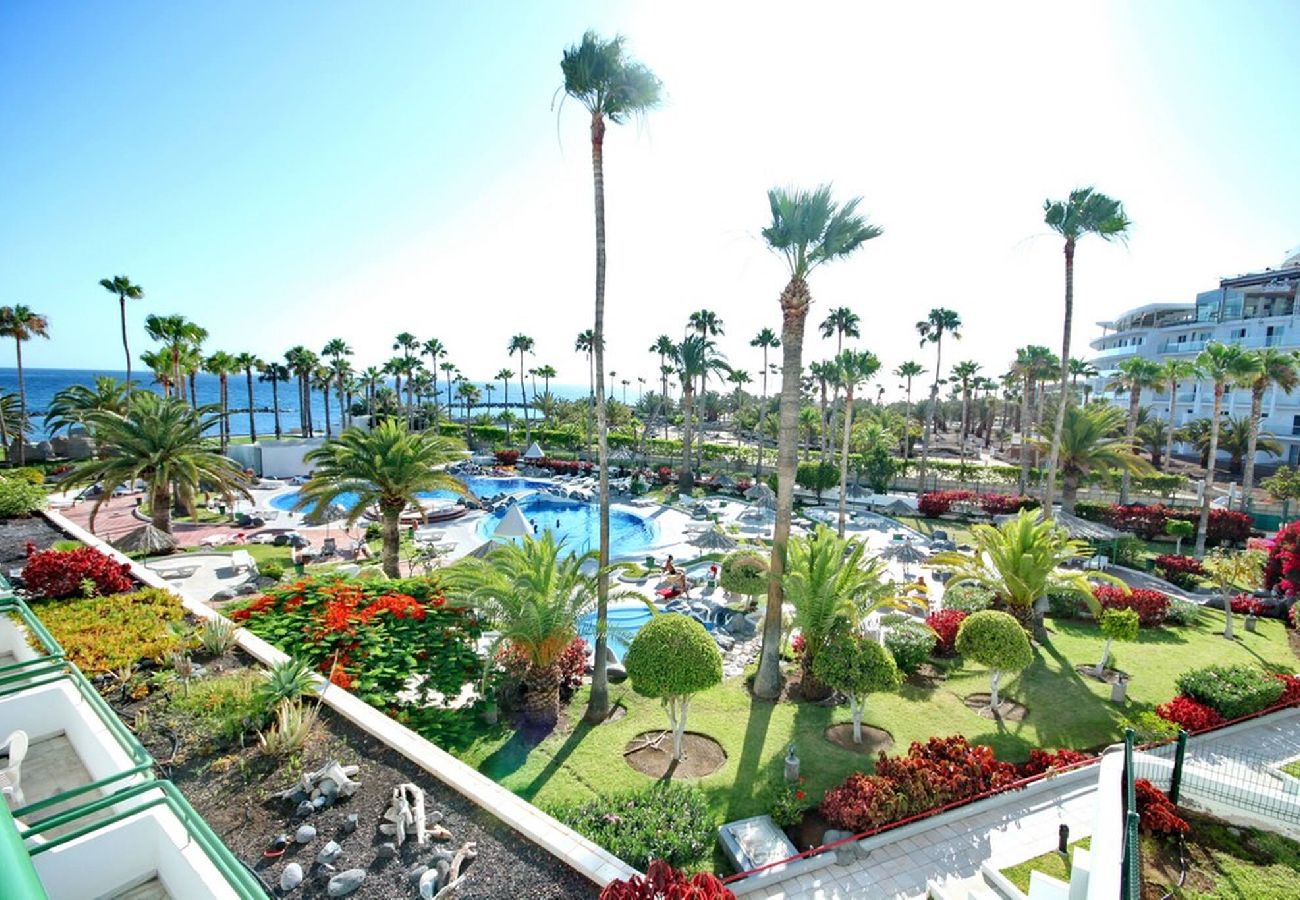 Studio in Costa Adeje - Beachfront studio El Duque D25
