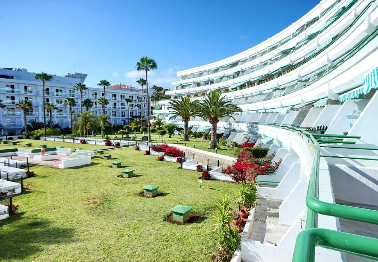 Studio in Costa Adeje - Beachfront studio El Duque D25