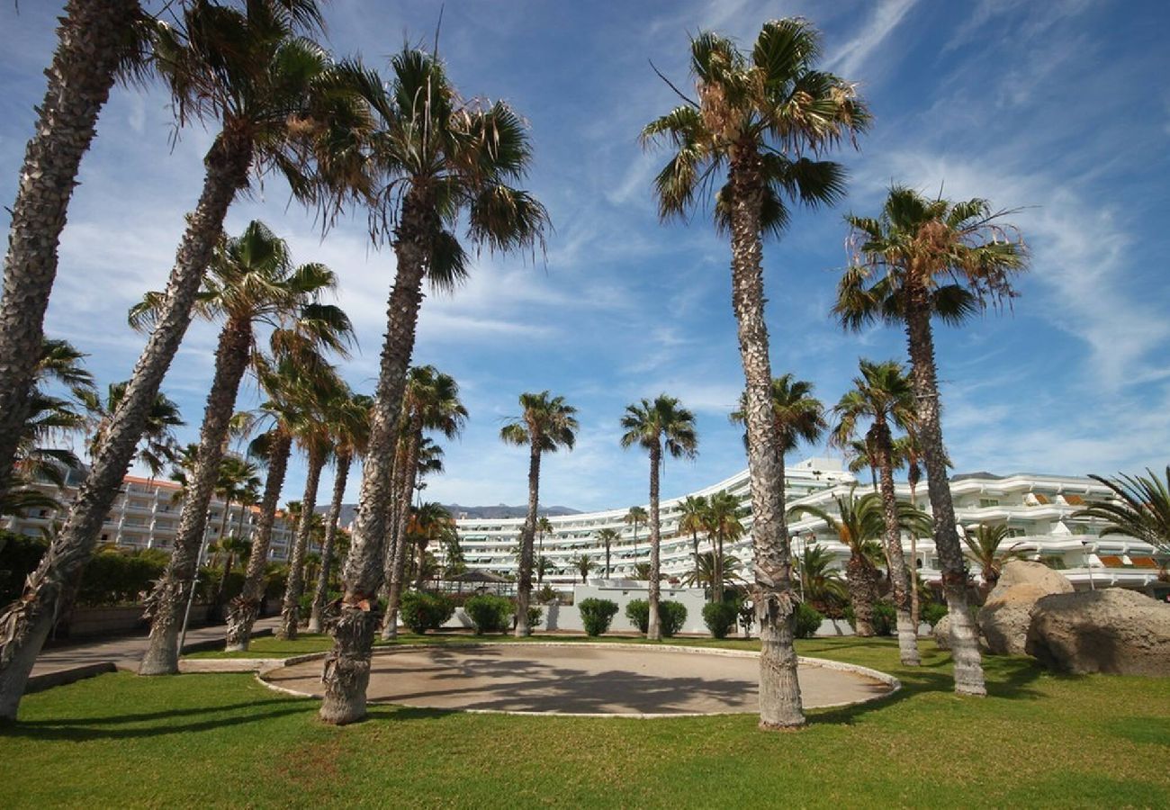 Studio in Costa Adeje - Beachfront studio El Duque D25
