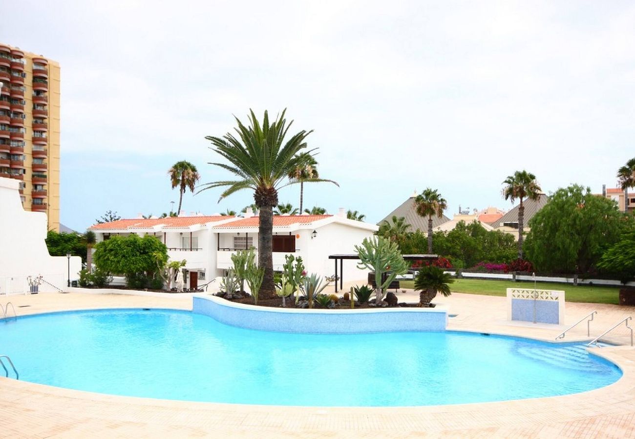 Apartment in Arona - Fabolous Two Bedroom Apartment 